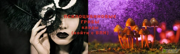 mdpv Лабытнанги