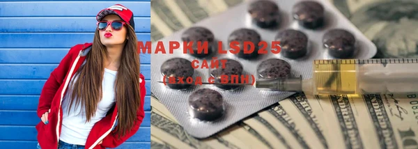 ПСИЛОЦИБИНОВЫЕ ГРИБЫ Лагань