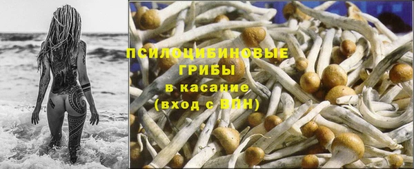 mdpv Лабытнанги