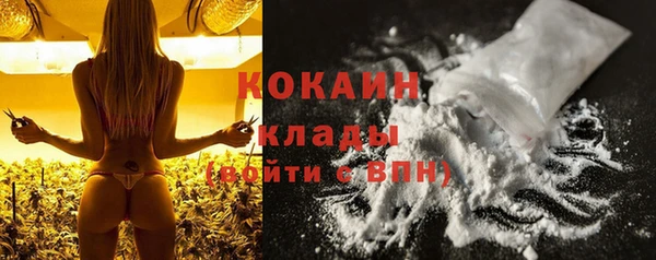 ПСИЛОЦИБИНОВЫЕ ГРИБЫ Лагань