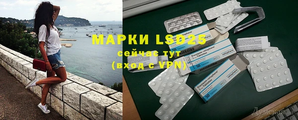 ПСИЛОЦИБИНОВЫЕ ГРИБЫ Лагань