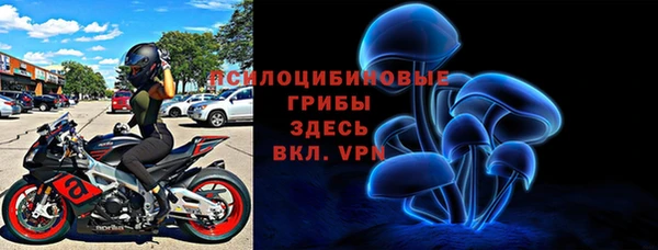 ПСИЛОЦИБИНОВЫЕ ГРИБЫ Лагань