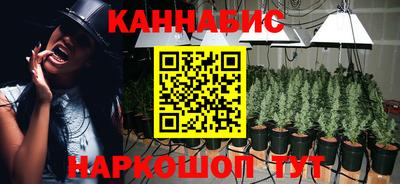 гашик Кунгур