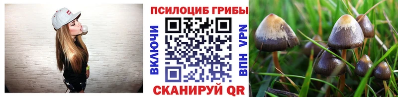 Галлюциногенные грибы Psilocybine cubensis  как найти закладки  Мурино 