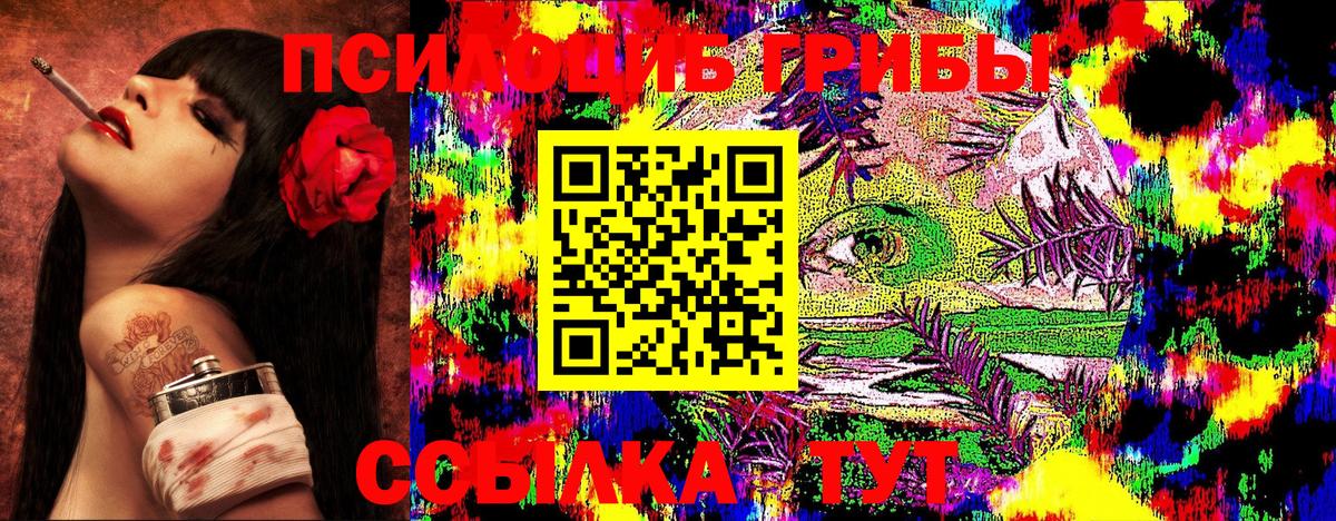 Галлюциногенные грибы Cubensis Мурино