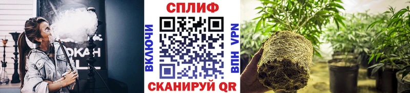 Каннабис MAZAR Мурино